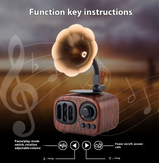 Vintage Bloom Bluetooth Radio