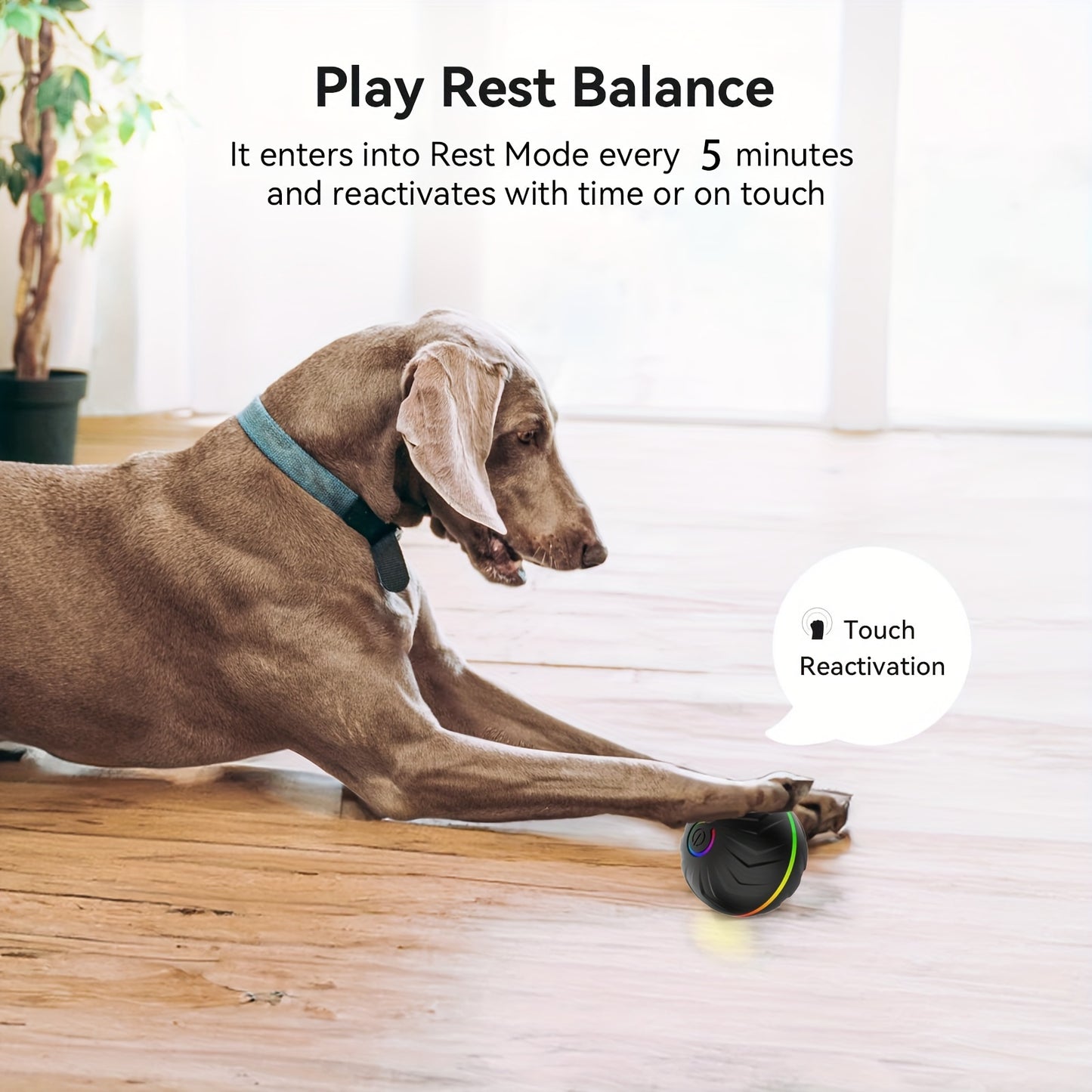Smart Interactive Dog Ball – Random Rolling, Jumping & Colorful LED Pet Toy